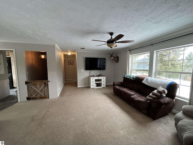 carpeted living room with ceiling fan, crown molding, and a textured ceiling