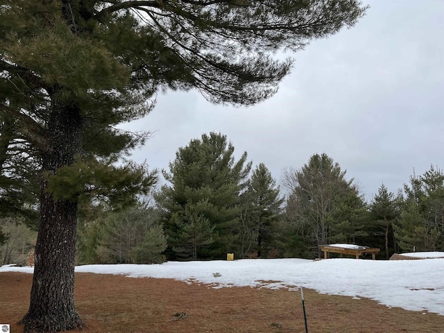 view of snowy yard