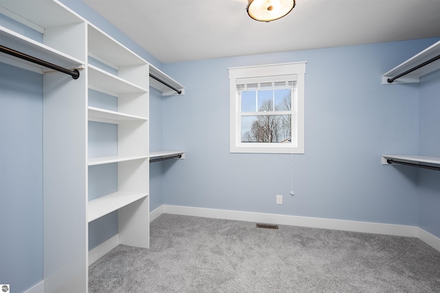 spacious closet with light carpet