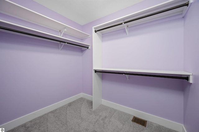 spacious closet featuring carpet