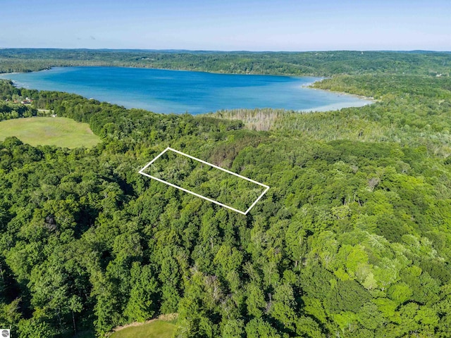 1744 E Old Mountain Rd, Cedar MI, 49621 land for sale