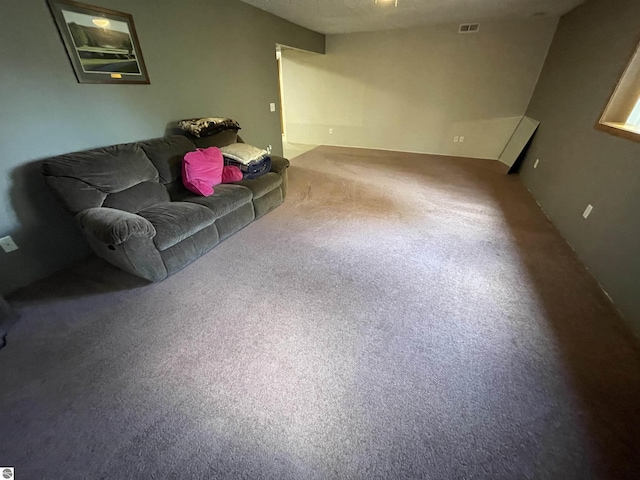 living room featuring carpet and a textured ceiling