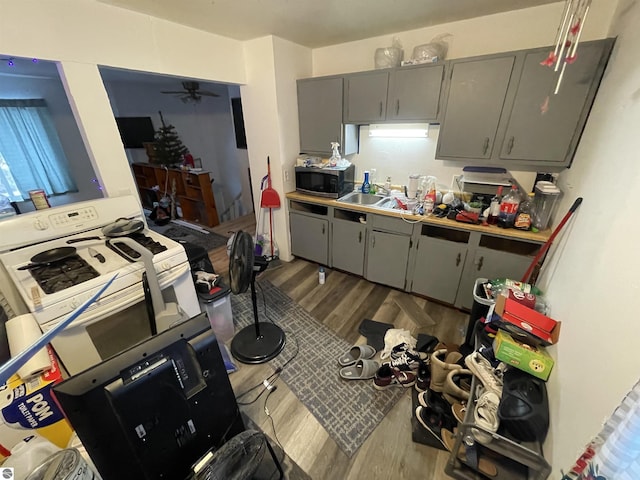 kitchen featuring ceiling fan, gray cabinets, sink, and wood-type flooring