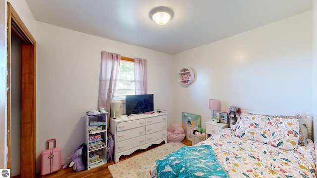 bedroom with hardwood / wood-style floors