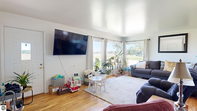 living room with light wood-type flooring