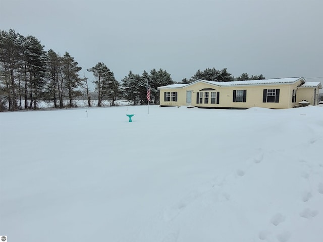 view of yard covered in snow