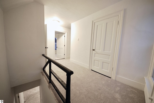 staircase featuring carpet