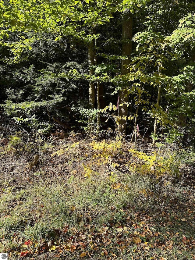 Listing photo 2 for LOT10BLOCKC Shorewood Dr, Frankfort MI 49623