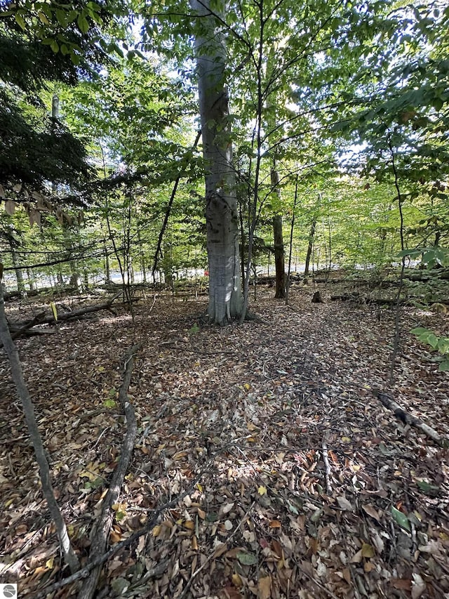 Listing photo 3 for LOT10BLOCKC Shorewood Dr, Frankfort MI 49623