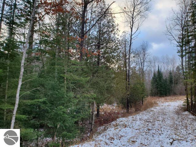 0 Sage Lake Rd, Lupton MI, 48635 land for sale