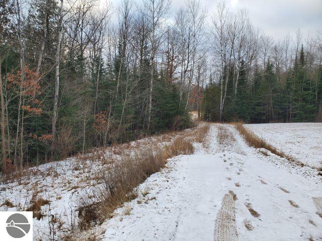 Listing photo 2 for 0 Sage Lake Rd, Lupton MI 48635