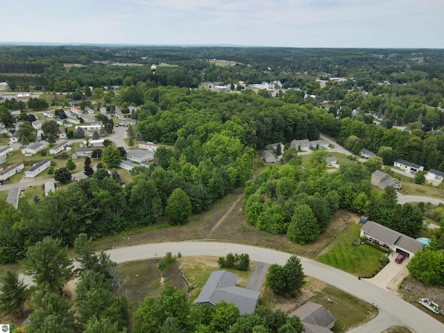 bird's eye view