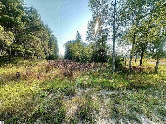 0 Ingersoll Rd, Fife Lake MI, 49633 land for sale