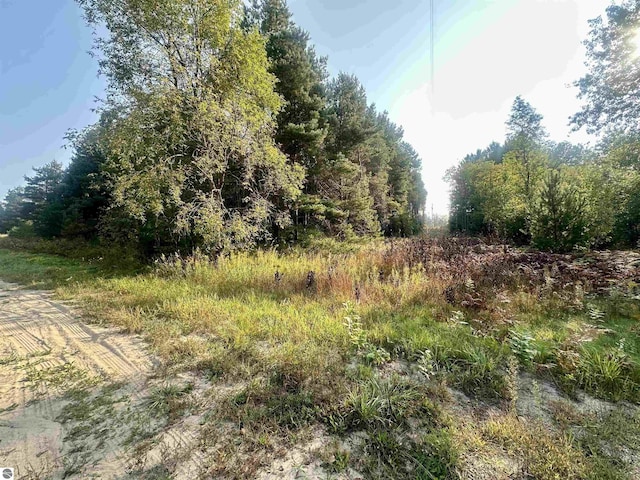 Listing photo 3 for 0 Ingersoll Rd, Fife Lake MI 49633