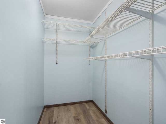 spacious closet featuring wood-type flooring