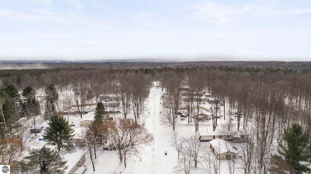 view of snowy aerial view