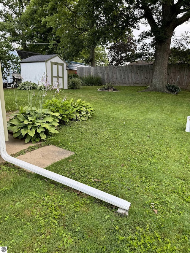 view of yard featuring a storage shed