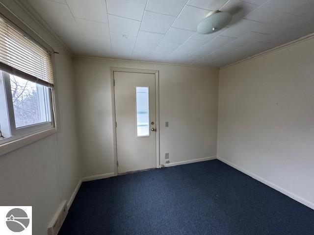 unfurnished room featuring carpet and ornamental molding