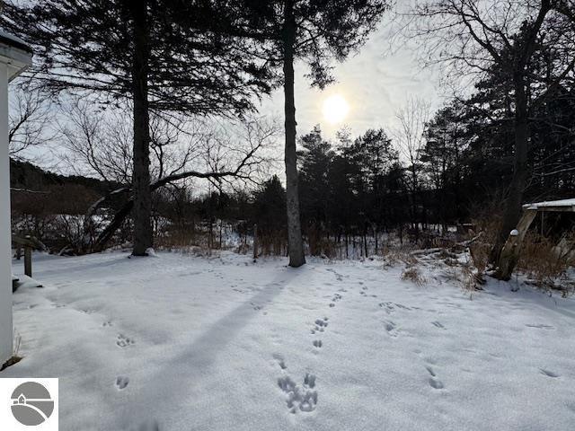 view of yard covered in snow