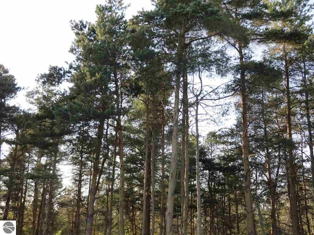 A Spruce Hollow Trce, Fife Lake MI, 49633 land for sale