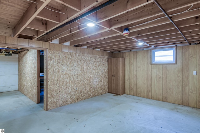 basement with wooden walls