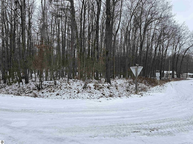 Listing photo 3 for LOT40 Squirrel Run, Farwell MI 48622