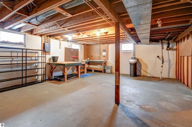 basement featuring a workshop area and electric panel