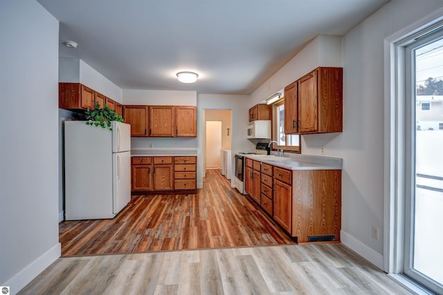 kitchen featuring white appliances, light hardwood / wood-style floors, and sink