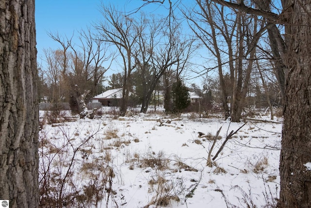 view of yard layered in snow