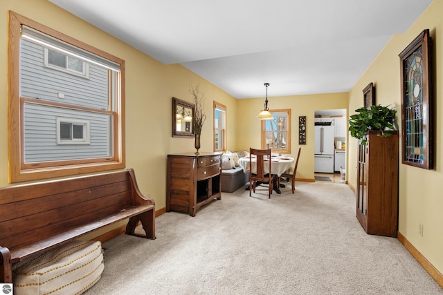 interior space with light colored carpet