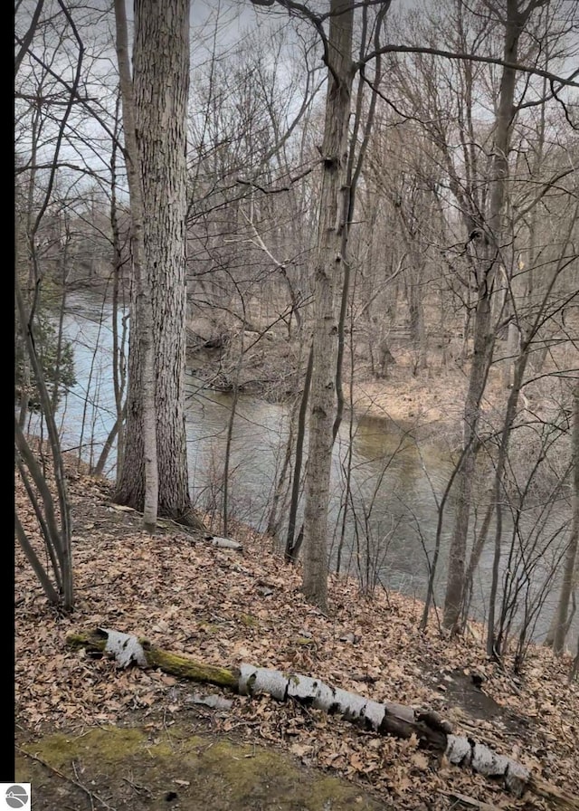 8355 Chippewa Trl, Mount Pleasant, MI 48858 - property view of water