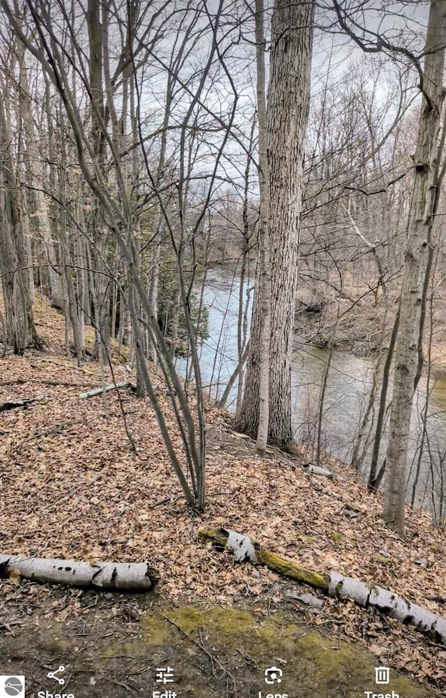 8355 Chippewa Trl, Mount Pleasant, MI 48858 - view of water feature