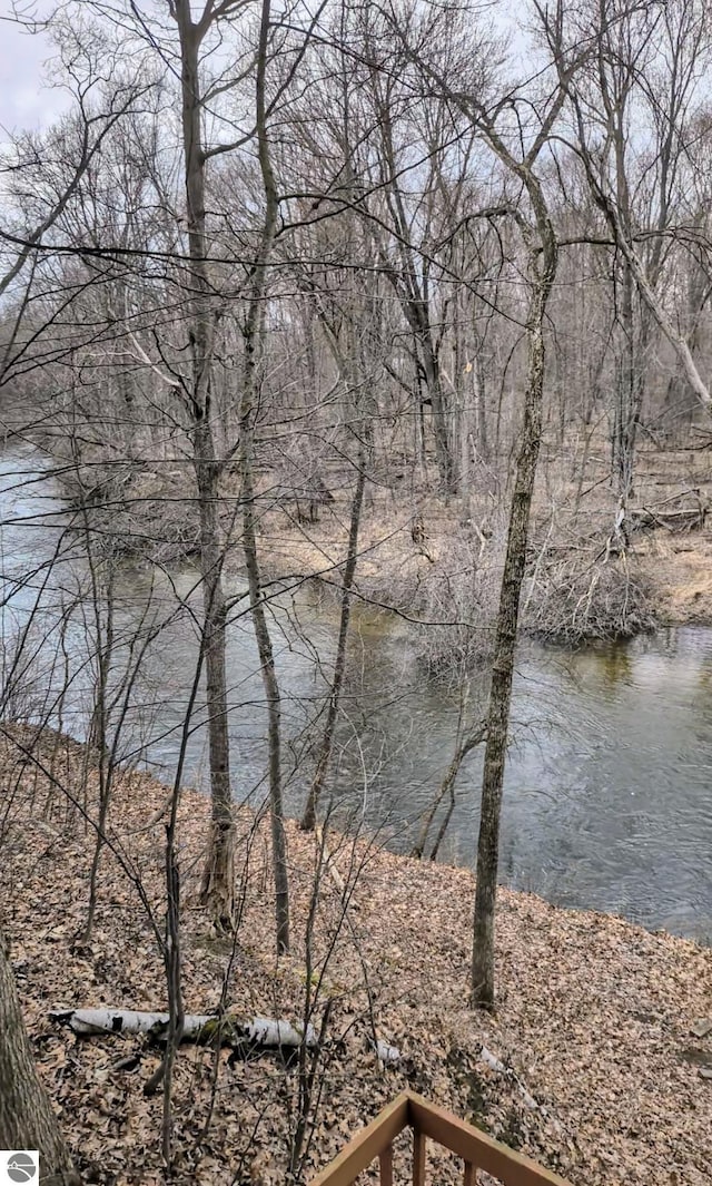 8355 Chippewa Trl, Mount Pleasant, MI 48858 - view of water feature