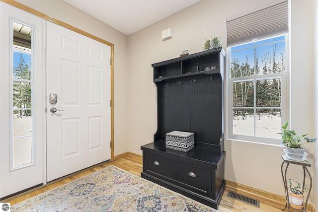 mudroom featuring a healthy amount of sunlight and light hardwood / wood-style floors