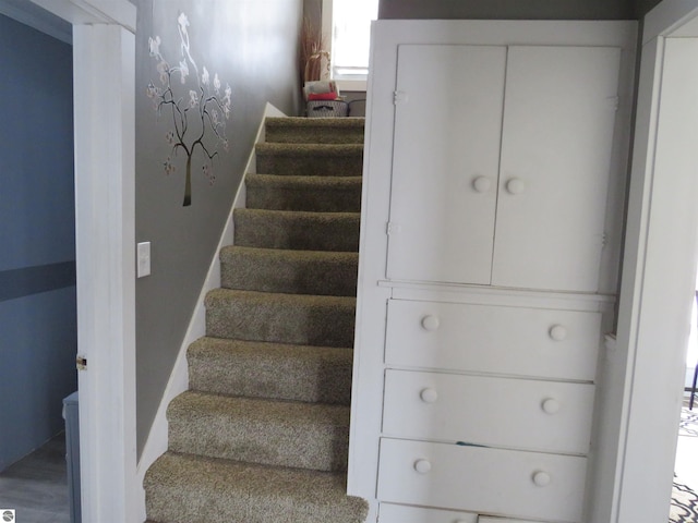 staircase with hardwood / wood-style flooring