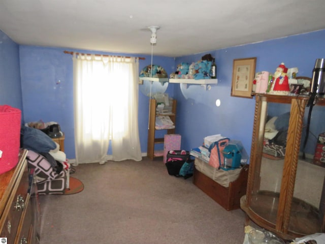 bedroom with carpet floors