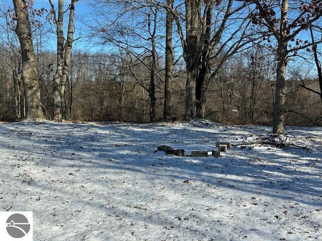 view of yard covered in snow