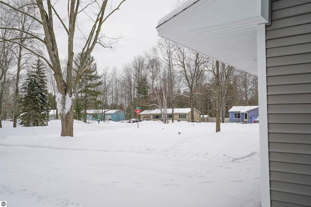 view of snowy yard