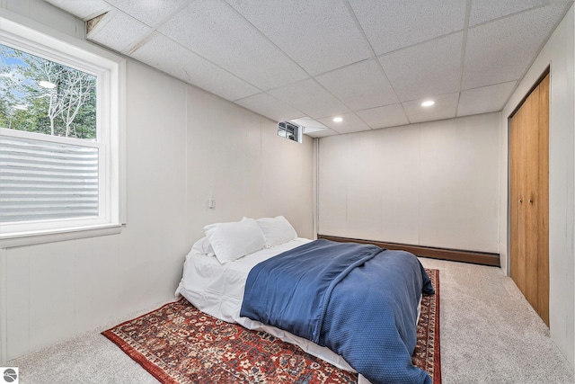 bedroom featuring multiple windows, a drop ceiling, and carpet