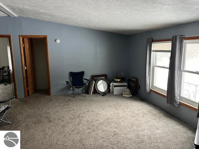 misc room with carpet flooring and a textured ceiling