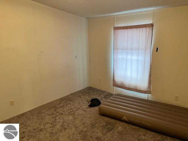 spare room featuring carpet floors