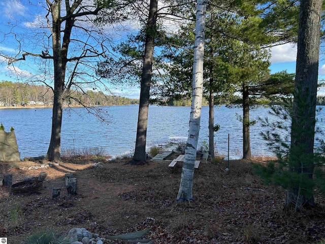 water view featuring a dock