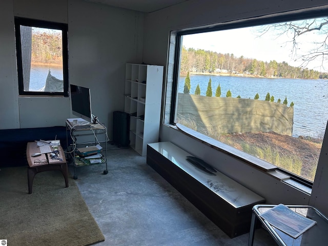 sitting room featuring concrete flooring and plenty of natural light