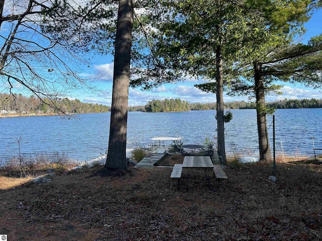 dock area featuring a water view