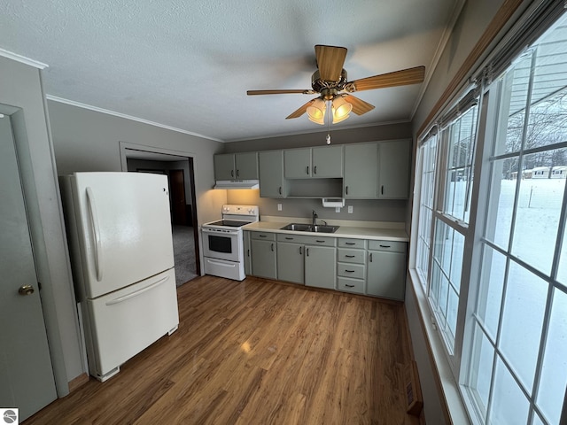 kitchen with sink, dark hardwood / wood-style flooring, crown molding, white appliances, and gray cabinets