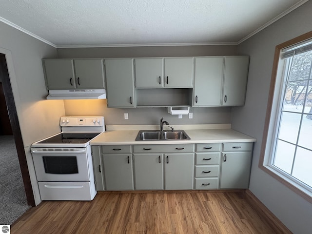 kitchen with sink, ornamental molding, a textured ceiling, white electric range oven, and light hardwood / wood-style floors