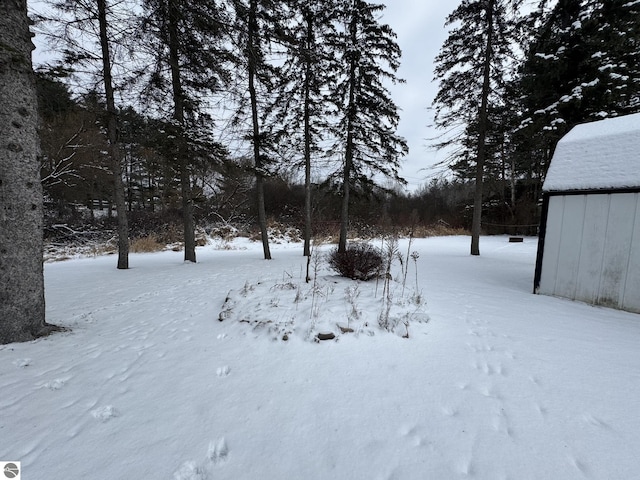 view of yard covered in snow