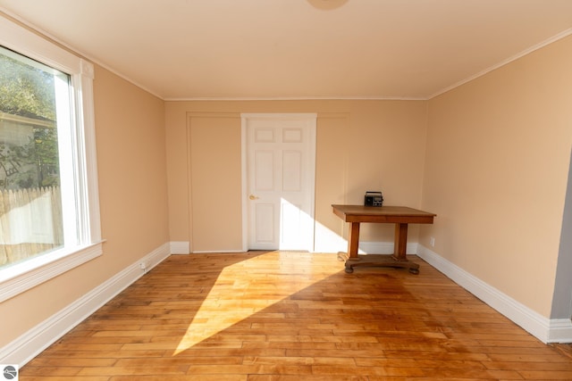 interior space featuring light hardwood / wood-style floors and crown molding