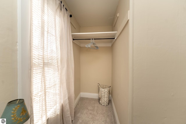 spacious closet with carpet