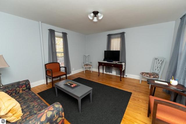 living room with wood-type flooring